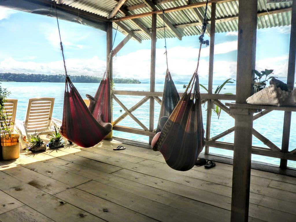 El Jaguar Bocas del Toro